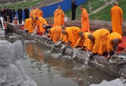 放生视频,人与自然和谐共生的美好瞬间