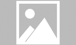 繁殖视频,生命延续的精彩瞬间